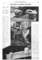 giornale/CFI0346061/1917/unico/00000605