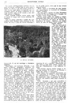 giornale/CFI0346061/1917/unico/00000800