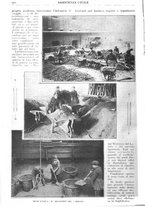 giornale/CFI0346061/1917/unico/00000804