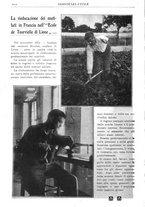 giornale/CFI0346061/1917/unico/00000848