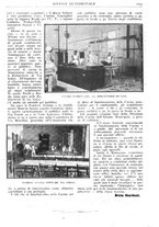 giornale/CFI0346061/1917/unico/00000859