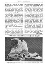 giornale/CFI0346061/1917/unico/00000871