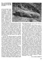 giornale/CFI0346131/1939/unico/00000181