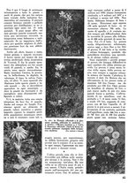 giornale/CFI0346131/1939/unico/00000209
