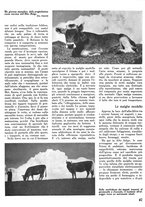 giornale/CFI0346131/1939/unico/00000261