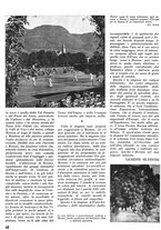 giornale/CFI0346131/1939/unico/00000366