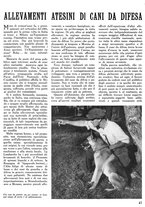 giornale/CFI0346131/1939/unico/00000371
