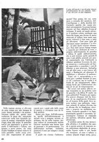 giornale/CFI0346131/1939/unico/00000372