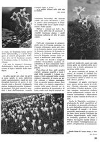 giornale/CFI0346131/1940/unico/00000475