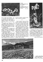 giornale/CFI0346131/1940/unico/00000476