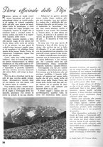 giornale/CFI0346131/1941/unico/00000036