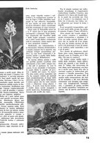 giornale/CFI0346131/1941/unico/00000037