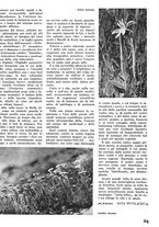 giornale/CFI0346131/1941/unico/00000039