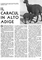 giornale/CFI0346131/1941/unico/00000099