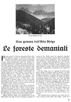 giornale/CFI0346131/1941/unico/00000455