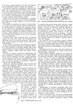 giornale/CFI0346131/1941/unico/00000502