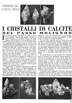 giornale/CFI0346131/1941/unico/00000613