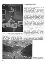 giornale/CFI0346131/1942/unico/00000214