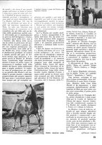 giornale/CFI0346131/1942/unico/00000229