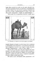 giornale/CFI0346315/1922/unico/00000041