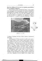 giornale/CFI0346315/1924/unico/00000037