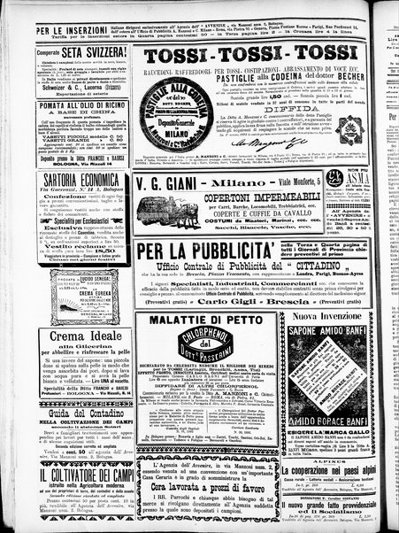 L'avvenire : giornale quotidiano delle Romagne e dell'Emilia