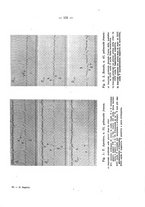 giornale/CFI0346828/1937/unico/00000139