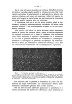 giornale/CFI0346828/1937/unico/00000388