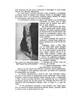 giornale/CFI0346828/1938/unico/00000238