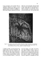giornale/CFI0346858/1929/unico/00000349