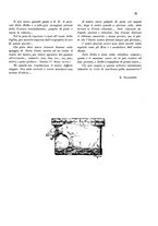 giornale/CFI0346858/1931/unico/00000037