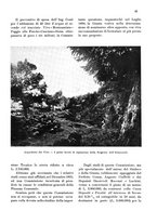 giornale/CFI0346858/1933/unico/00000055