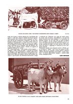 giornale/CFI0349781/1942/unico/00000337