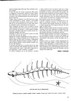 giornale/CFI0349781/1942/unico/00000373