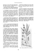 giornale/CFI0349782/1937/unico/00000035