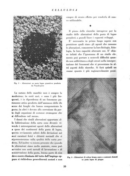 Cellulosa Bollettino ufficiale dell'Ente Nazionale per la cellulosa e per la carta