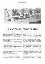 giornale/CFI0349782/1937/unico/00000194