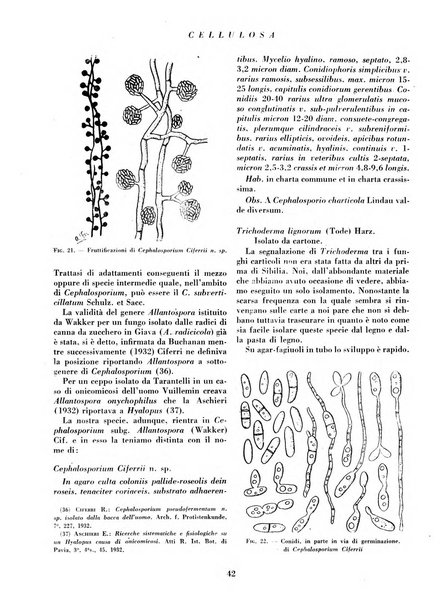 Cellulosa Bollettino ufficiale dell'Ente Nazionale per la cellulosa e per la carta