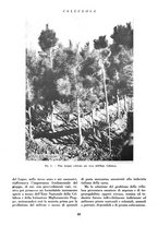 giornale/CFI0349782/1939/unico/00000082