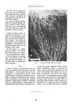 giornale/CFI0349782/1939/unico/00000087