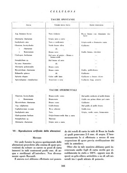 Cellulosa Bollettino ufficiale dell'Ente Nazionale per la cellulosa e per la carta