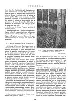 giornale/CFI0349782/1939/unico/00000226