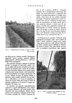 giornale/CFI0349782/1939/unico/00000228