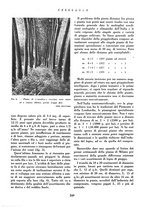 giornale/CFI0349782/1939/unico/00000229