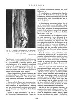 giornale/CFI0349782/1939/unico/00000238