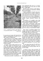 giornale/CFI0349782/1939/unico/00000244