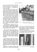 giornale/CFI0349782/1939/unico/00000245