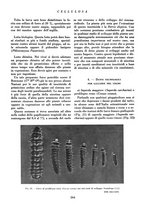 giornale/CFI0349782/1939/unico/00000246