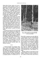 giornale/CFI0349782/1941/unico/00000115