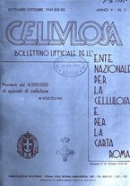 giornale/CFI0349782/1941/unico/00000251